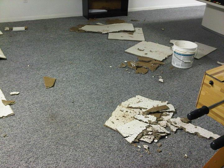 IMG00526-20110313-1217.jpg