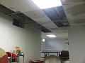 IMG00525-20110313-1217