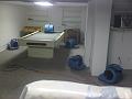 IMG00534-20110315-2303